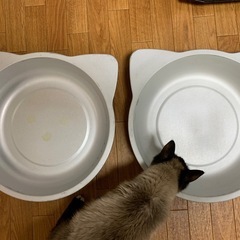 ねこ鍋×2 中古差し上げます