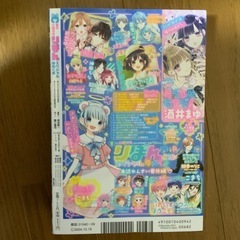 りぼん大増刊号
の画像