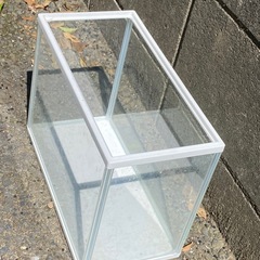 水槽の画像