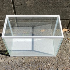 水槽の画像