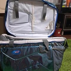 Colemanのクーラーバックの画像