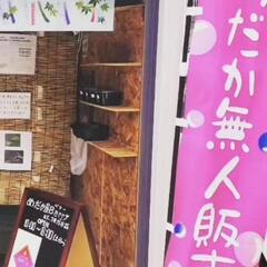 めだか屋Berry無人販売所　9月14日（土）15日（日）の画像