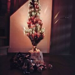 クリスマスツリー（光ファイバー仕掛け）の画像