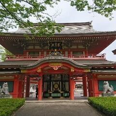 年上の人、仲良くしてください‼️ - 君津市