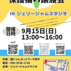 保護猫の譲渡会