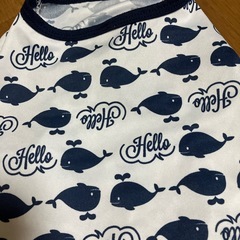 犬の服の画像