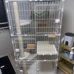 猫　キャットケージ