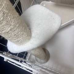 猫　キャットケージの画像