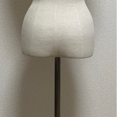 トルソー　マネキン　ディスプレイの画像