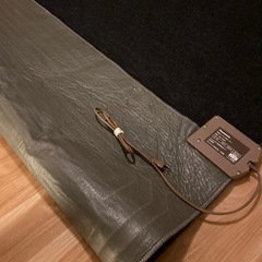 冬の必需品⛄️Panasonicarpetの画像