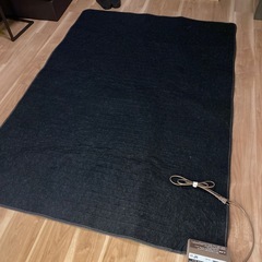 冬の必需品⛄️Panasonicarpetの画像