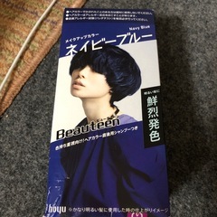 ☆。.:＊・゜ヘアカラー ブルー☆。.:＊・決まりました゜