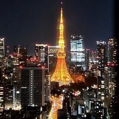 東京ベイエリア📷️ポートレート撮影モデル募集🎵の画像