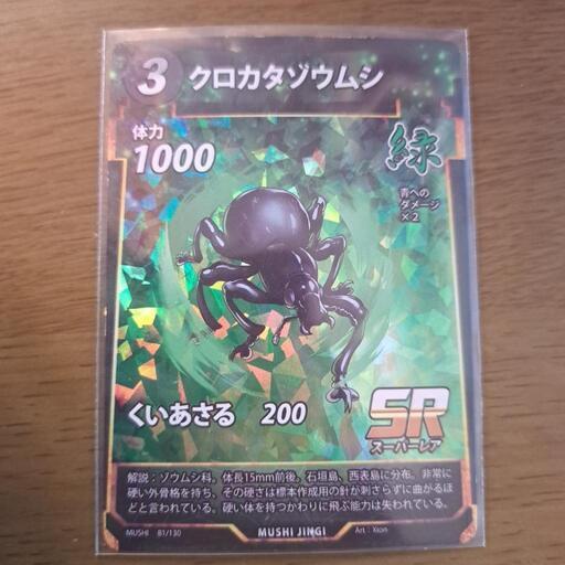 クロカタゾウムシSR