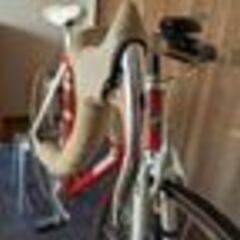 現車現車確認可　bottecchia コロンバスMAXカンパニューロCレコード組　完成車の画像