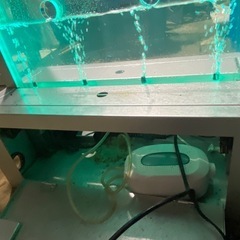 水槽の画像