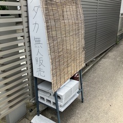 めだか無人販売です⭐️アキナめだか☺️数量限定‼️種類を増やして...
