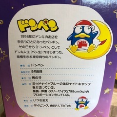 ドンペン　加湿器　美品の画像