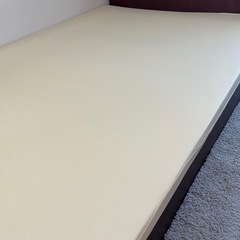 トゥルースリーパー プレミアム 5.0 シングルの画像