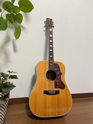 ?KISO SUZUKI  （GH-250）