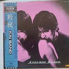 甲斐バンド　LP  野獣