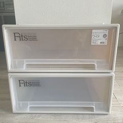 天馬 衣装ケース フィッツケース 2点セット　収納ケース