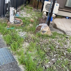 やってもらえる方決まりました！ - 半田市