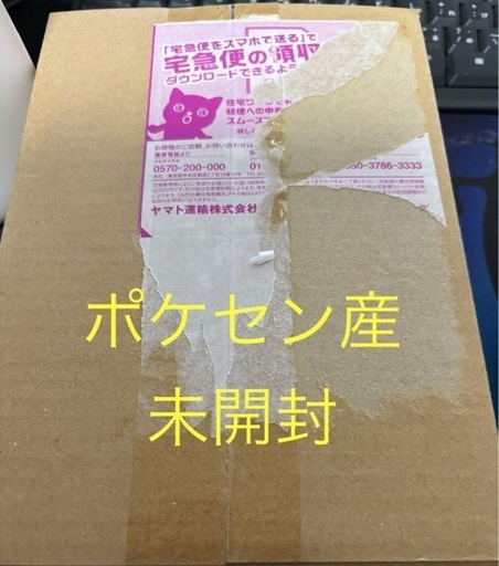 ポケカ ドラゴーナ 5ボックス 