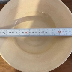 ★譲ります　大皿　2枚セットの画像