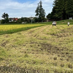 横手市付近　令和6年度産　9月16日〆切　
福島産ひとめぼれ　玄米　30kg　