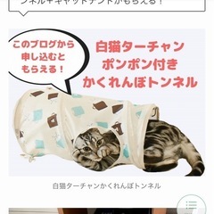 かくれんぼトンネル　トンネル　ねこのきもち　の画像