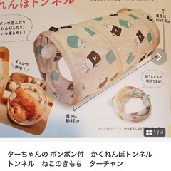 かくれんぼトンネル　トンネル　ねこのきもち　の画像