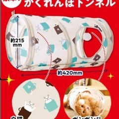 かくれんぼトンネル　トンネル　ねこのきもち　