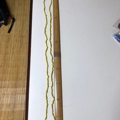 ロングネックレス　2本組