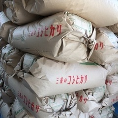 令和6年　採れたて新米　玄米　30kg 