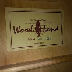 天)【現状品】34.Wood Land ギター　WD-110BSの画像