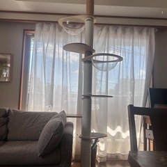 キャットタワー【引越で不要になりました】の画像