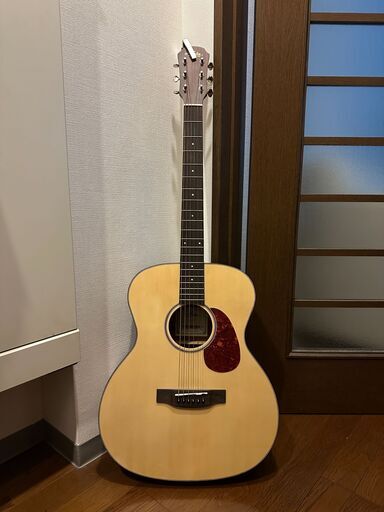 ARIA-101 MTN ギター