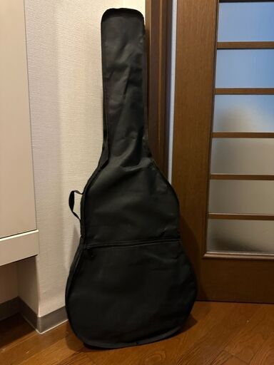 ARIA-101 MTN ギター
