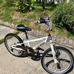 ルイガノ　子供用自転車　20インチ