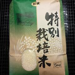 新米　令和６年産ひとめぼれ特別栽培米　5kg