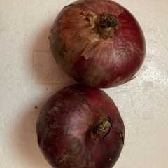 ありがとうございますお野菜いろいろ！おまけにジャンボオクラ差し上げます