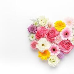 完全新規雑鯉オープンしました(ღ⑅ˇ ᴗ.ˇ˶)｡o♡
