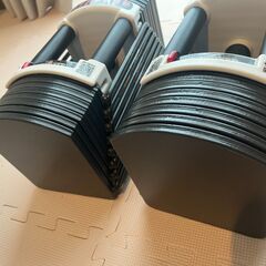 【市内配送無料】可変式 クイックダンベル/ブロックダンベル 片方最大40.5kg 2個セット ＋ プレスベンチ・トレーニングベンチの画像