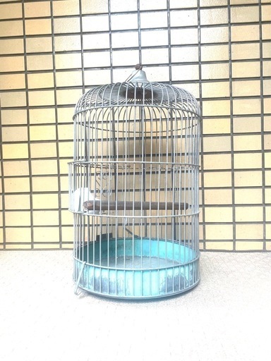 キンセン「KINSEN」鳥かご アンティーク バードケージ オンライン 鳥籠