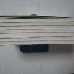 花中心の塗り絵ブック【書込み済み】７冊☆猫ちゃんズもあり/待合せ手渡しのみの画像