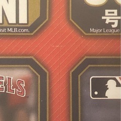 大谷翔平　フレームの画像