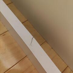 値下げ★ニトリ コンセント・収納付き シングルベッドの画像