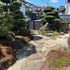 庭石・庭木の画像
