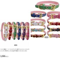 中型犬/大型犬/バイカラー首輪（新品）の画像